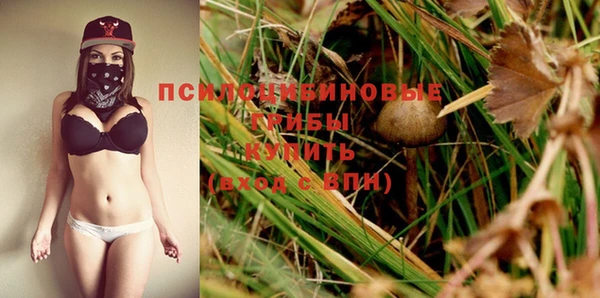 PSILOCYBIN Алексин